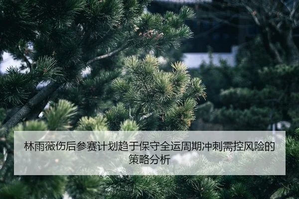 lin-yu-wei-shang-hou-can-sai-ji-hua-qu-yu-bao-shou-quan-yun-zhou-qi-chong-ci-xu-kong-feng-xian-de-ce-lve-fen-xi-2-106.jpg