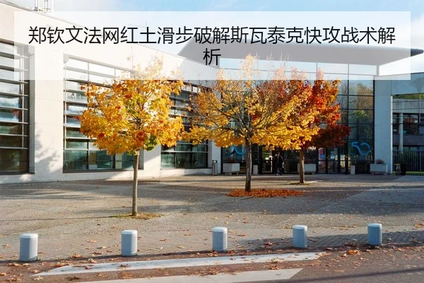 郑钦文法网红土滑步破解斯瓦泰克快攻战术解析