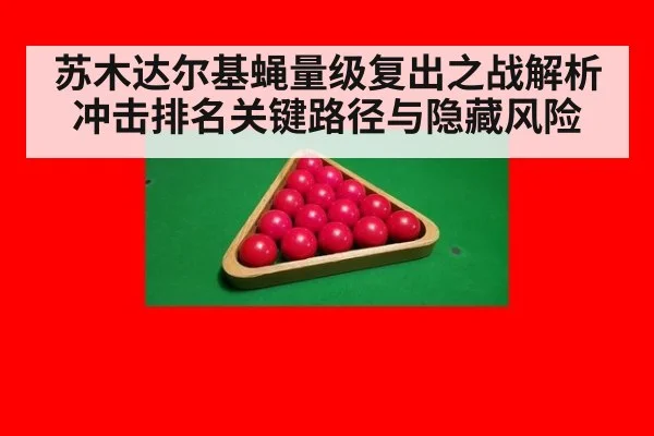 苏木达尔基蝇量级复出之战解析冲击排名关键路径与隐藏风险